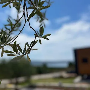 Zu Otel